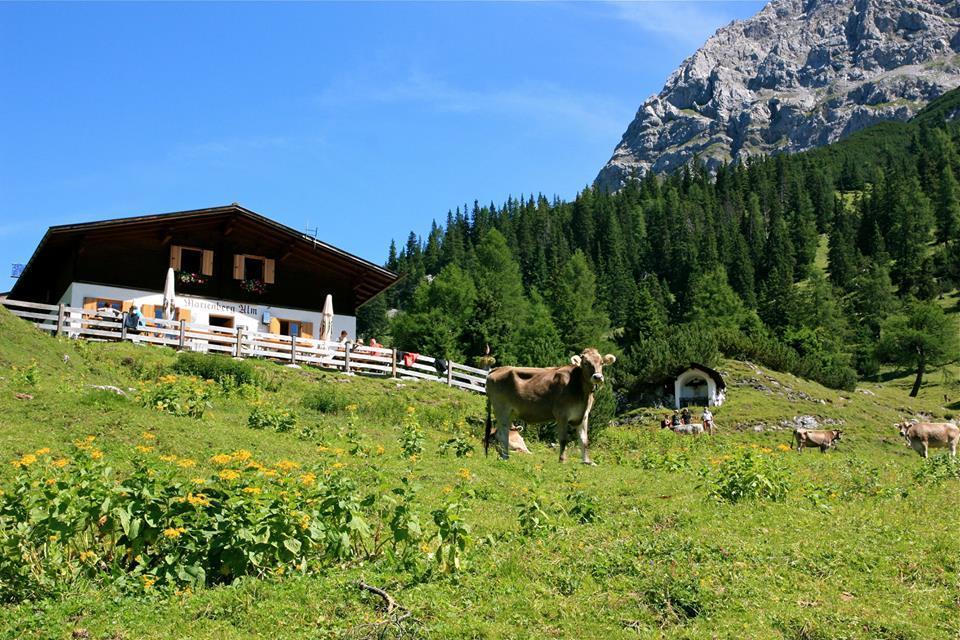 Haus Thurner Обштайґ Екстер'єр фото